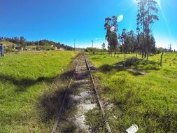 railway among green grass on a bright sunny day