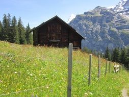 wooden hut in the green sun alps