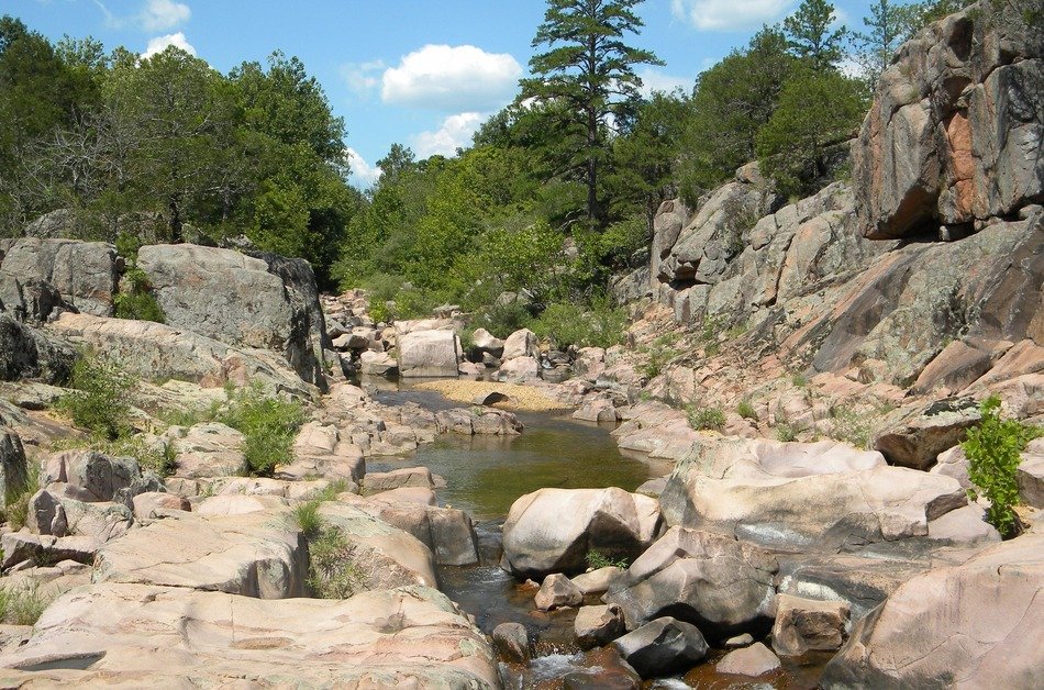 rocks among the forest on a sunny day