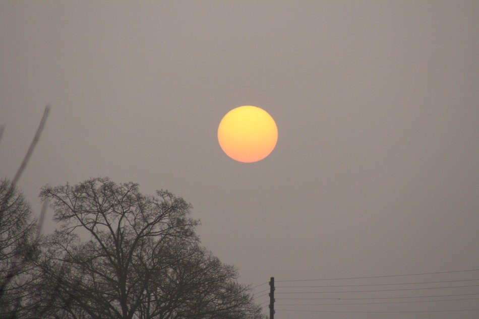 sunset above the trees landscape