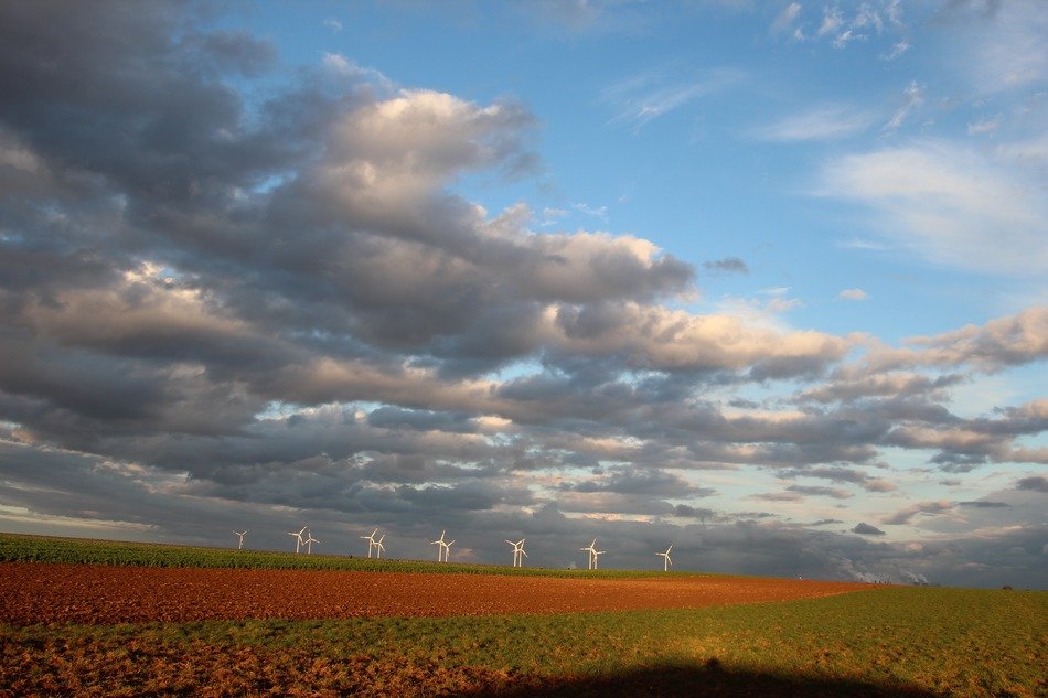 Wind power on the field