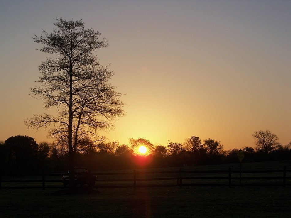 farm land at the sunrise