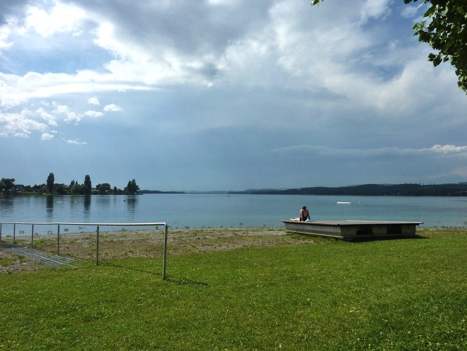 green shore near the lake in germany