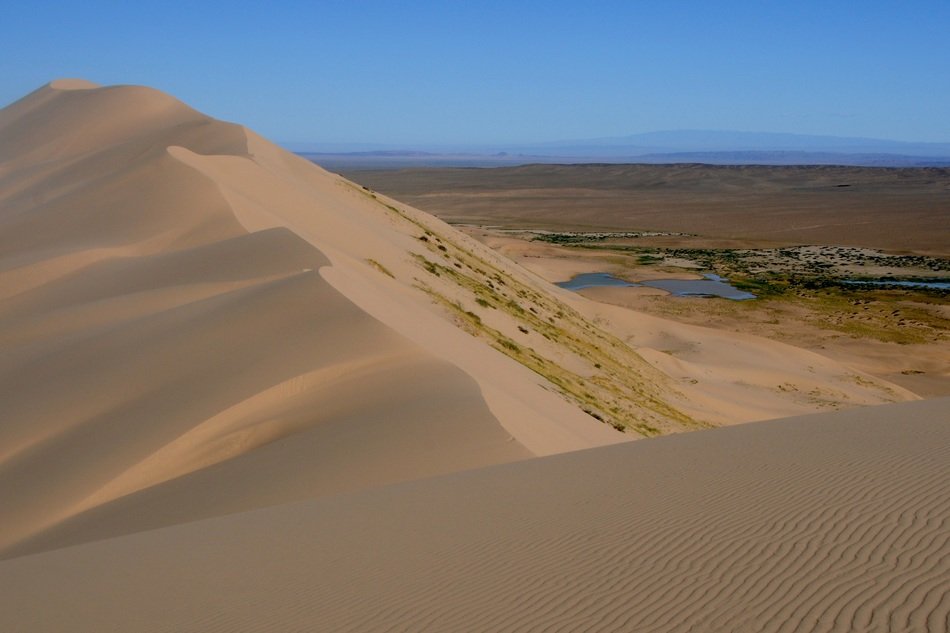 Dune in Mangolia