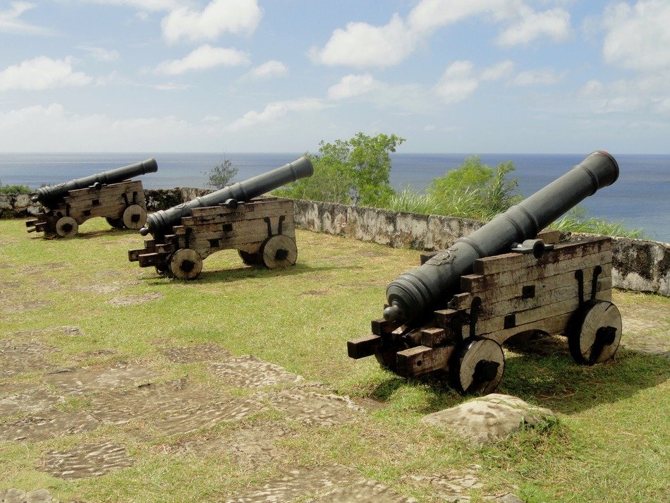guns on a green hill near the ocean