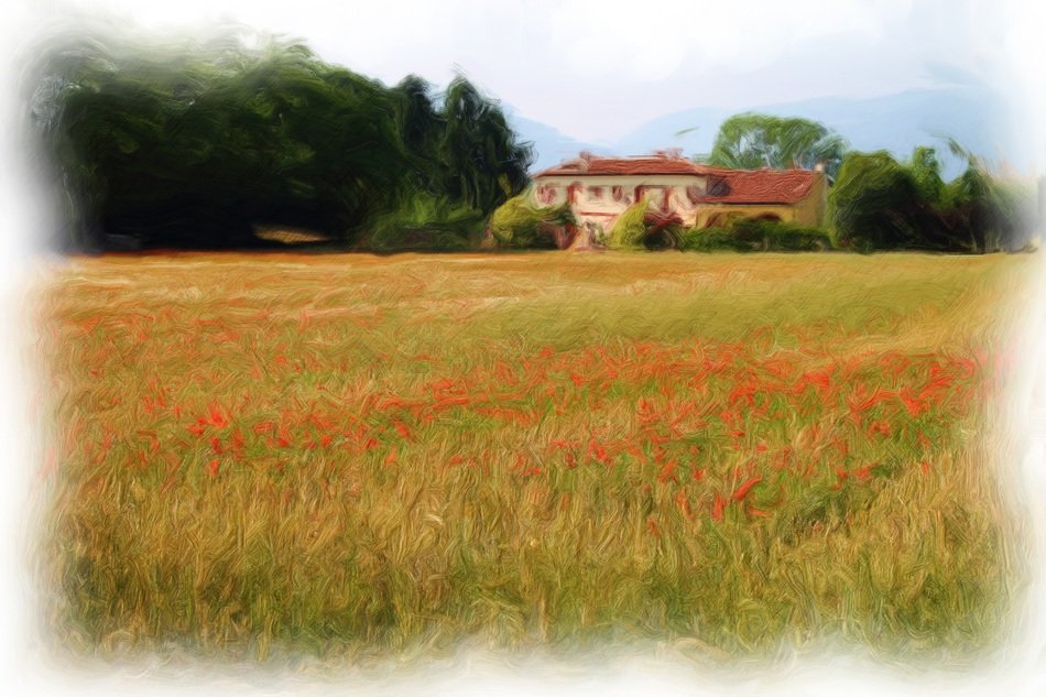 building in front of a wheat field