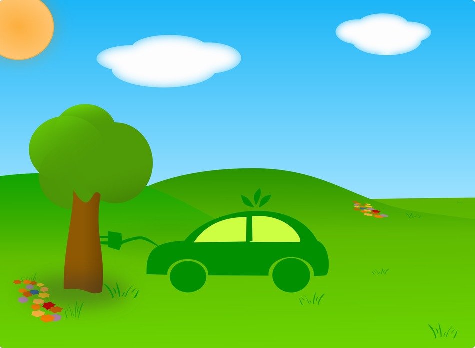 green tree and flowers and car drawing