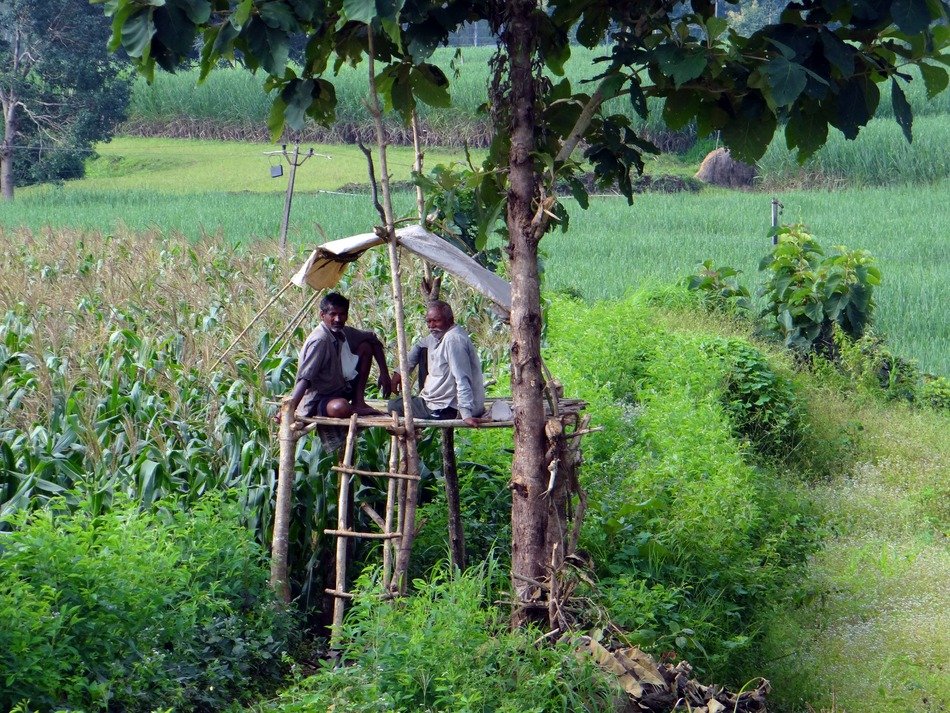 terrific farm