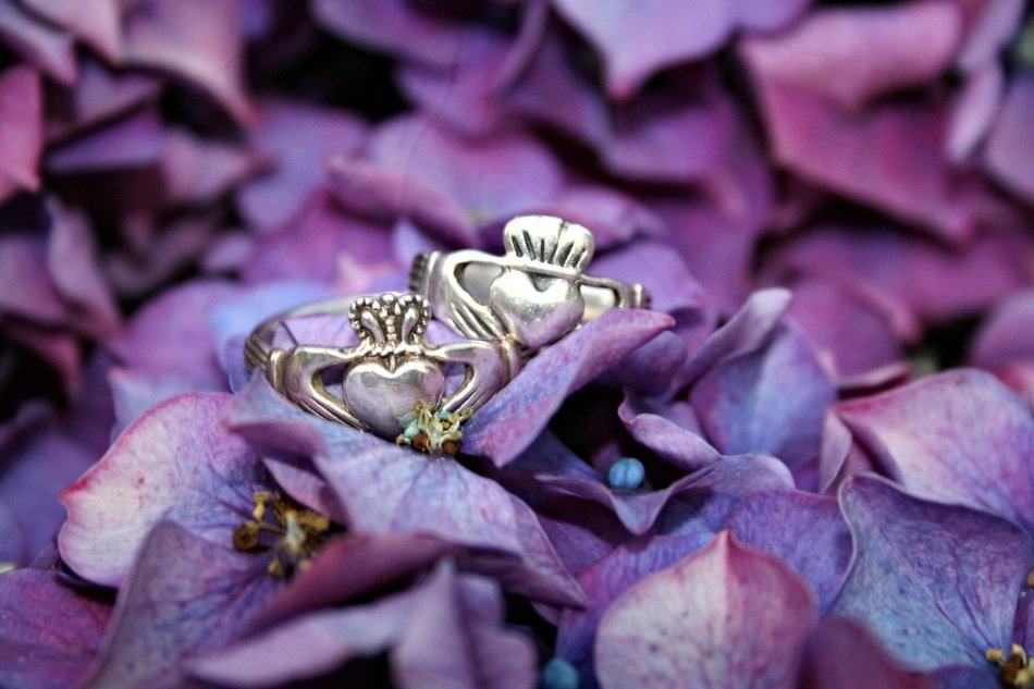 claddagh rings plant