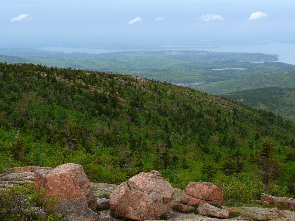 landscape of Acadia National Park