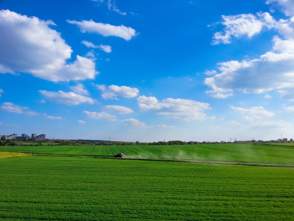 Green meadow in spring on a sunny day