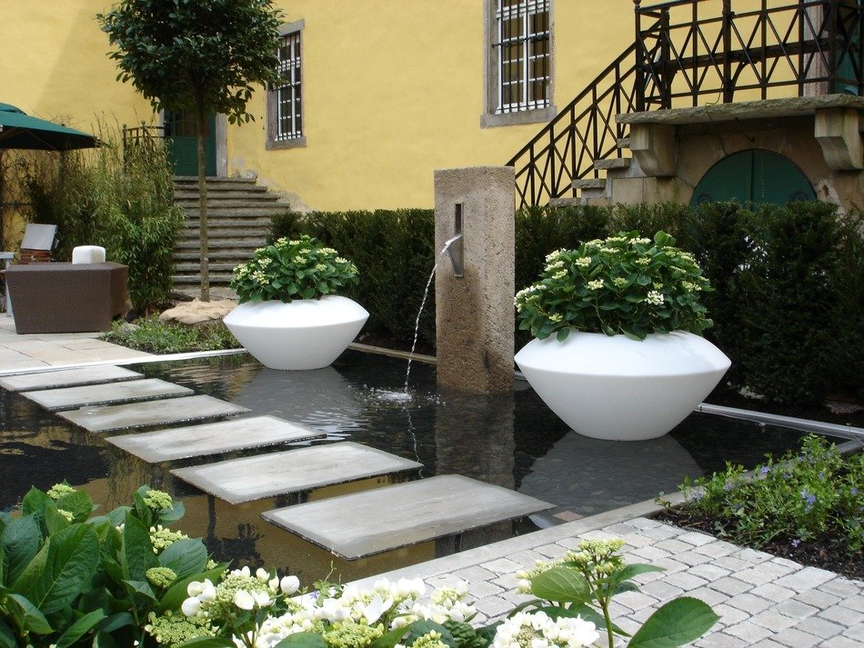 pond in the country garden