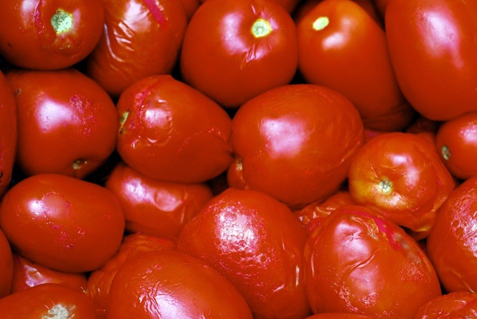 macro view of red tomato vegetables