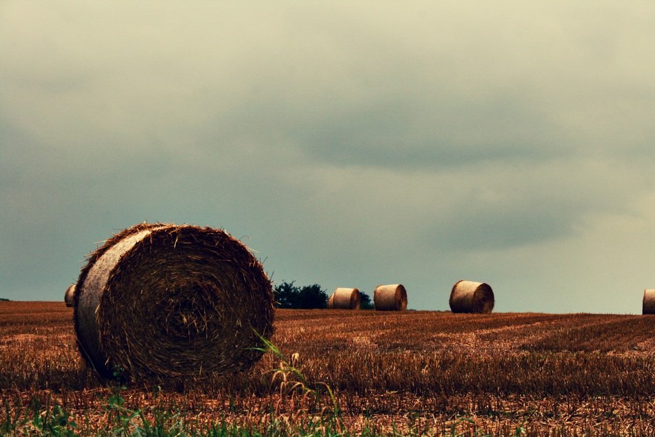 land hay bales