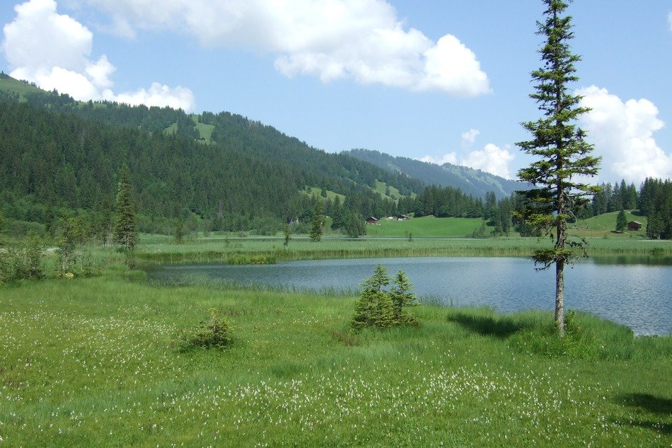 Lake Lauenen in Switzerland