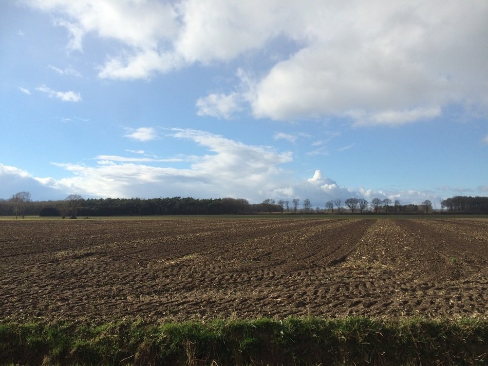 landscape of the countryside in Netherlands