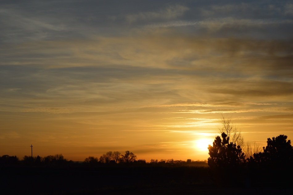 yellow sunset over the silhouettes of trees