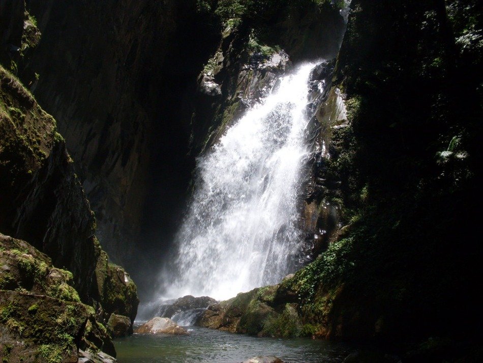 Beautiful waterfall with splashes of water on a rock with colorful plants