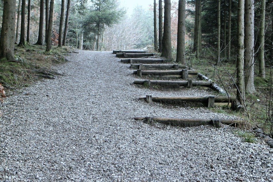 gray landscape in winter