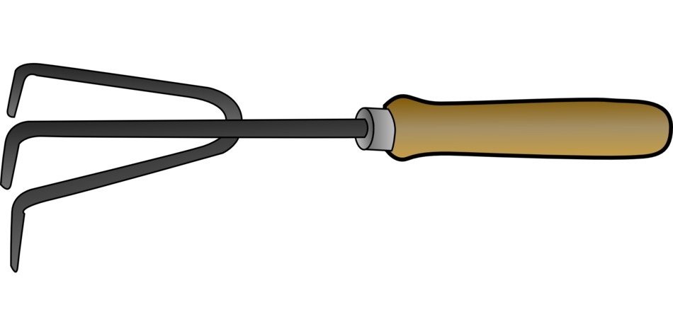rake for gardening
