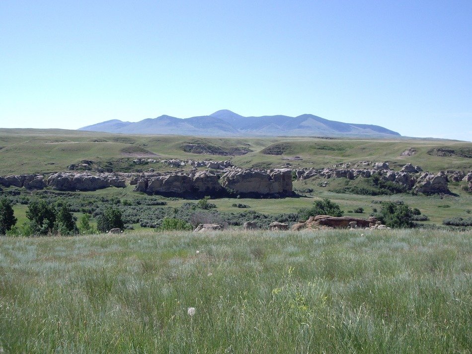 panorama of a green meadow on the background of a mountain with colorful nature