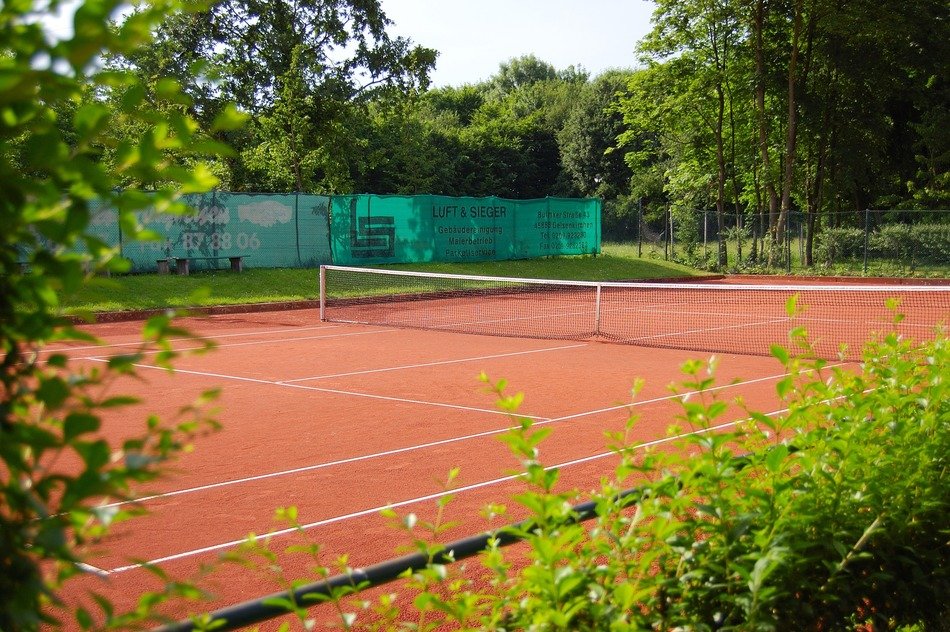 green bushes near the tennis court