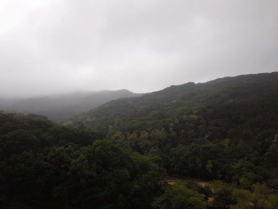 fog over the forest on the mountains