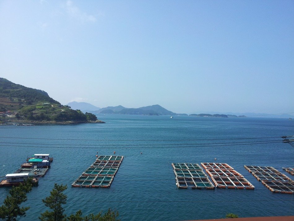sea fishery landscape