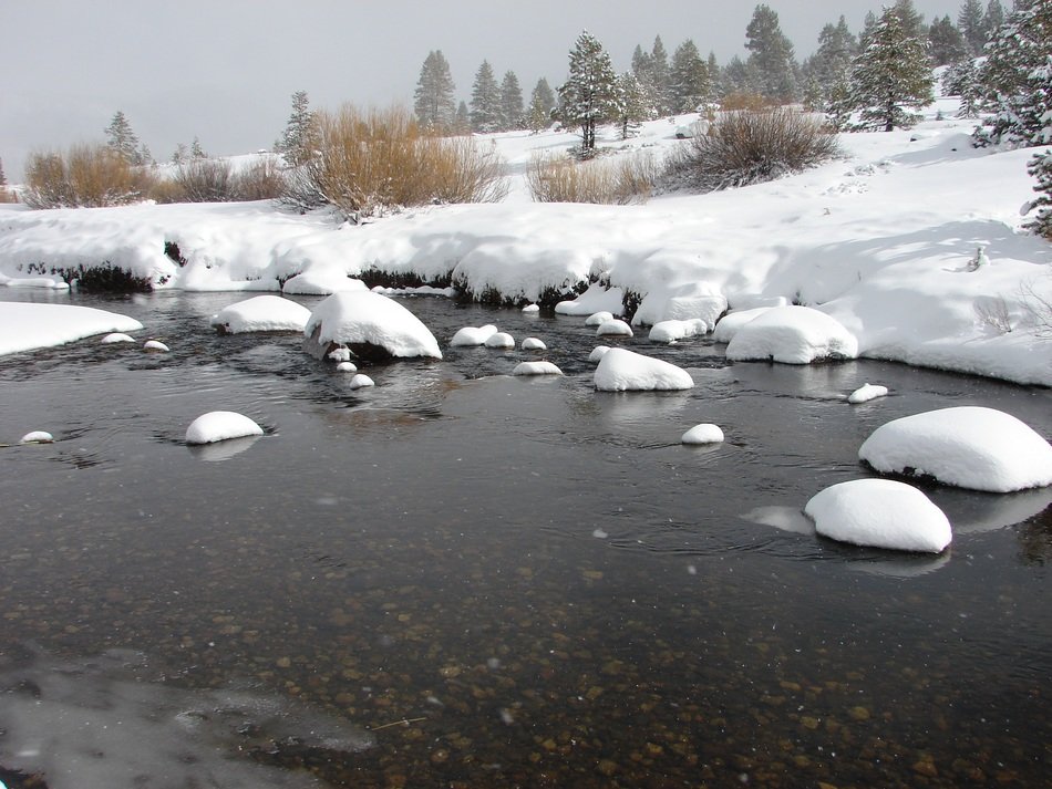 landscape of a river in winter