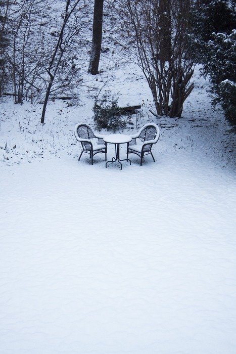winter garden nature