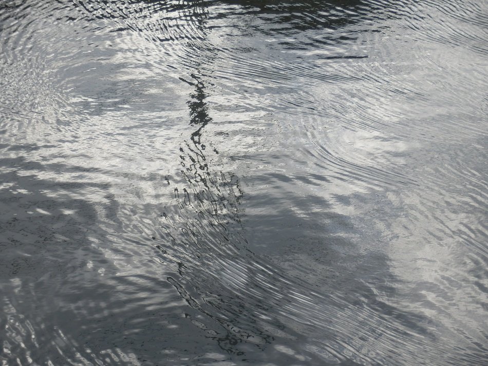 water surface on the river