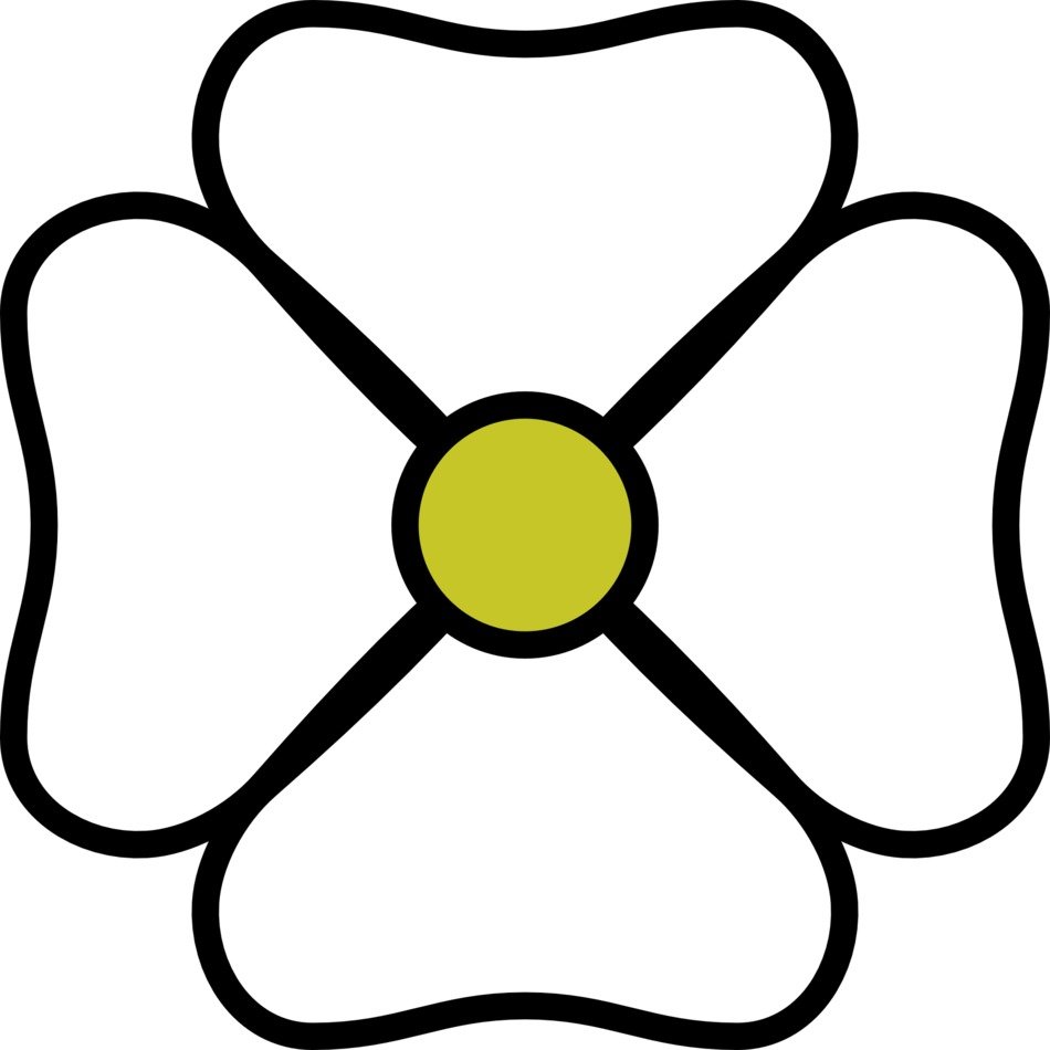 flower drawing on white background