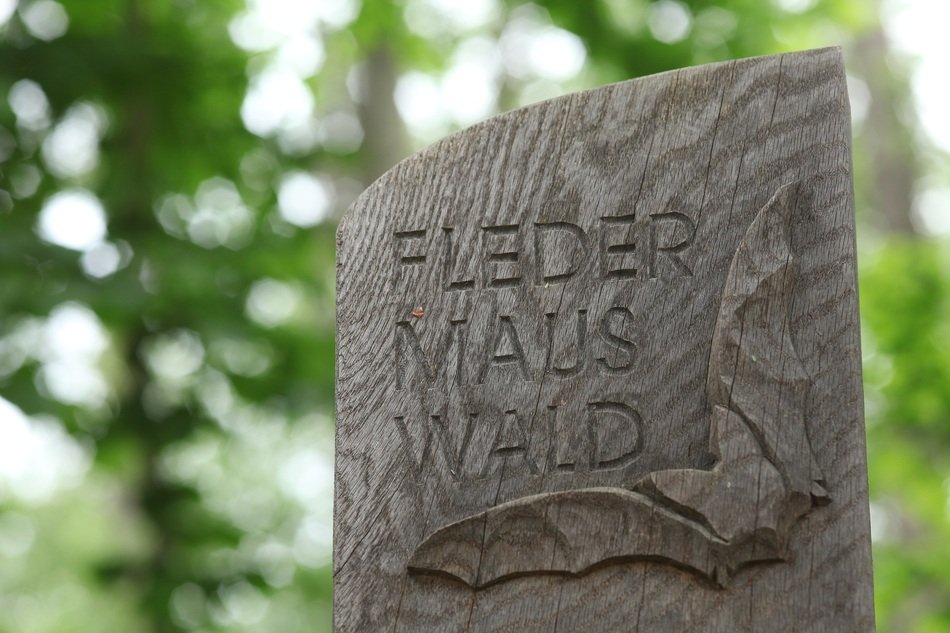 information shield about forest with bats