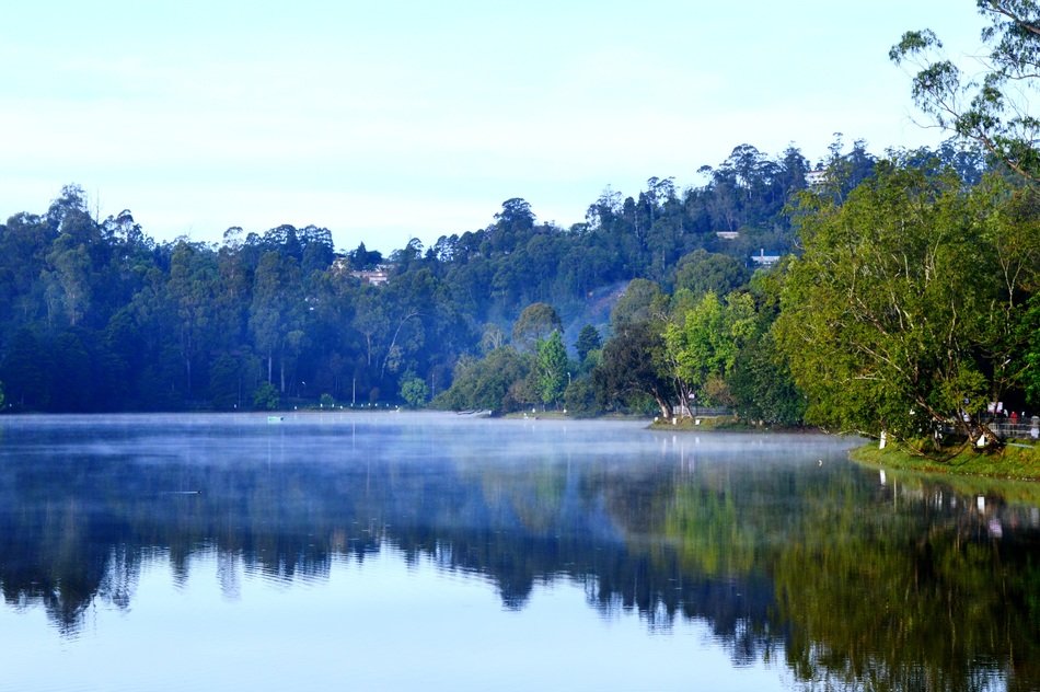 Forest Reflection Lake fog, tamil nadu, india