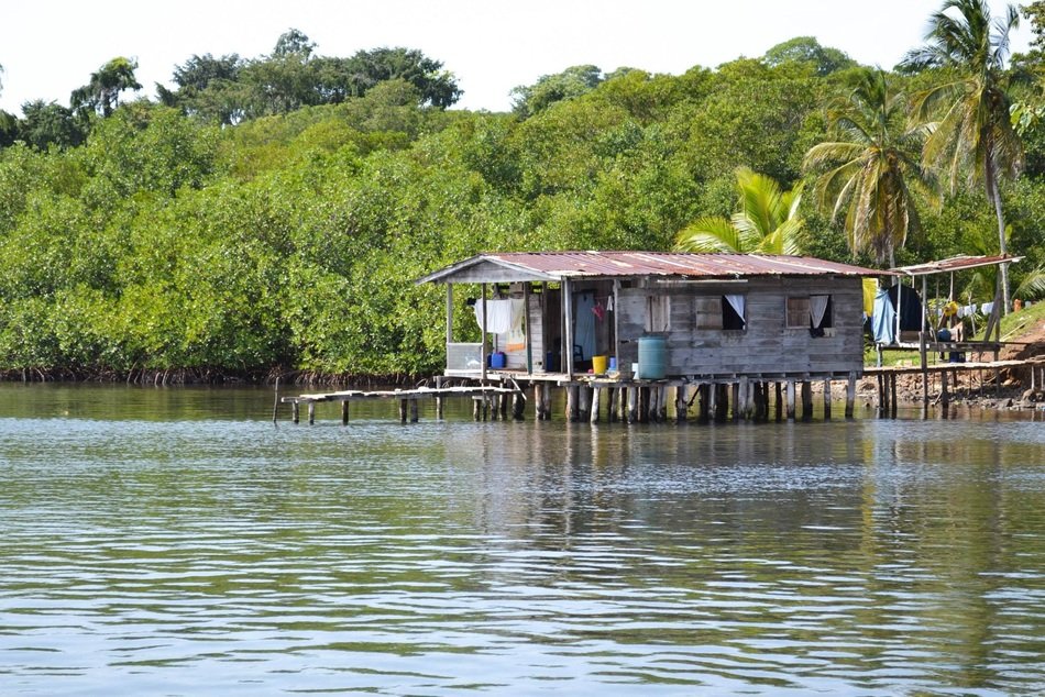 traditional hut on poles on forested coast at caribbean sea, panama