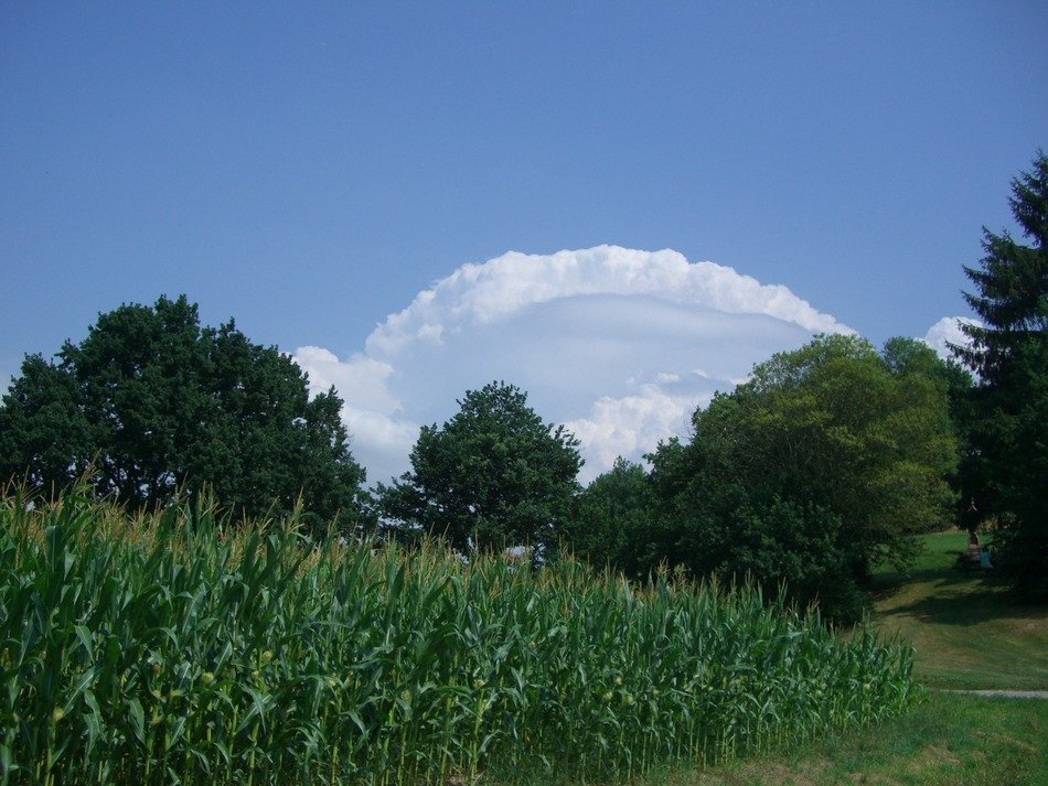 arc of clouds over a green forest