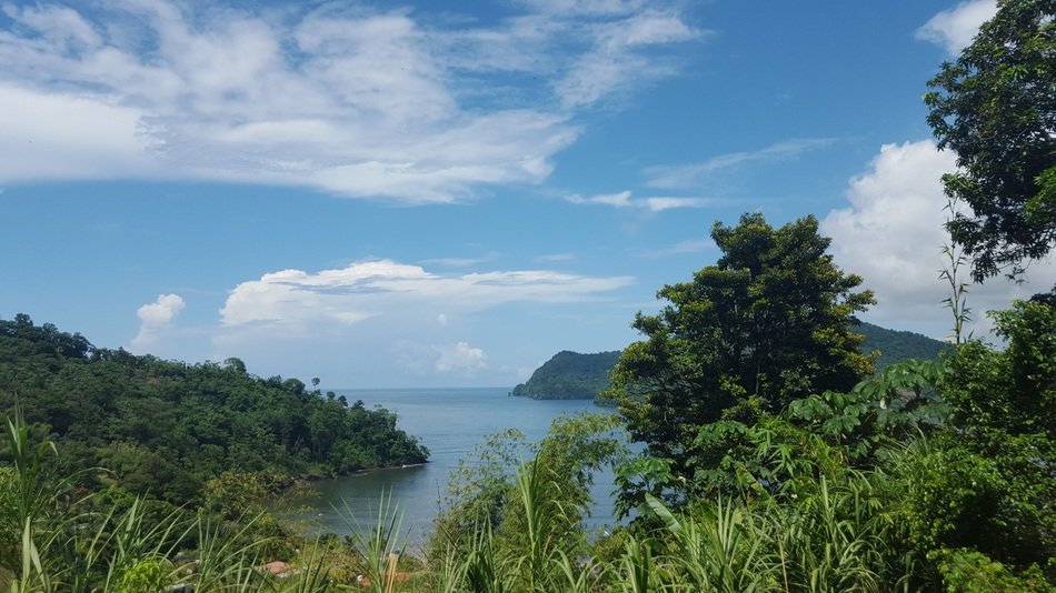beautiful seascape on a background of green trees
