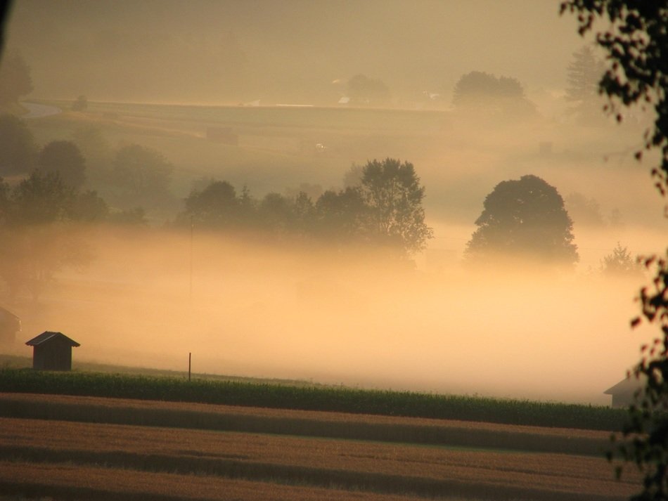 dense fog over the plain in Tyrol, Austria