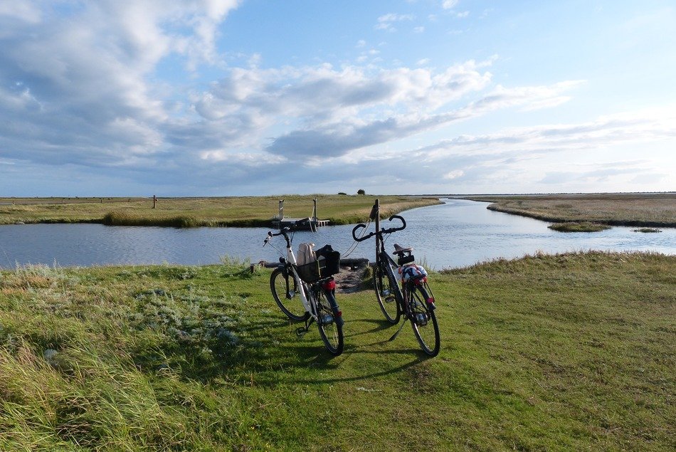 two bikes parked on meadow at water, denmark, laesoe