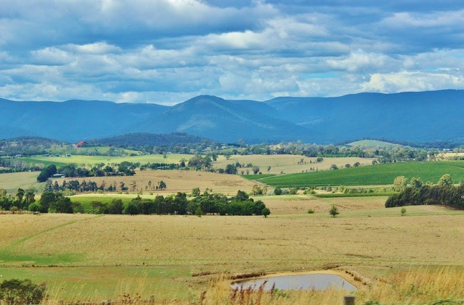 view of healesville in Australia