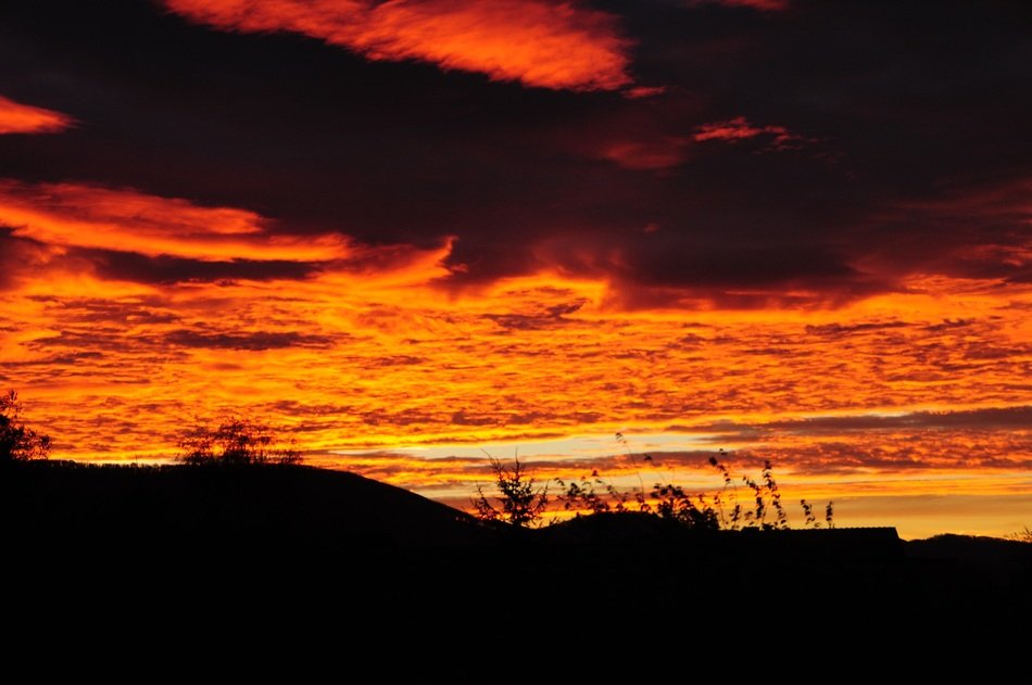photo of a fiery sunset over the evening forest