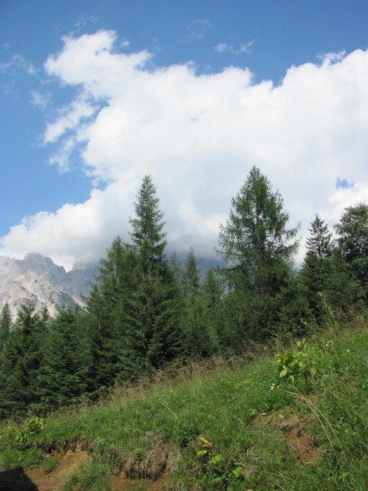 Landscape of belluno borca