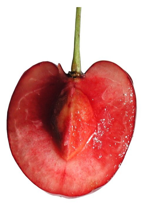 red cherries pulp sliced kirschkern fruit