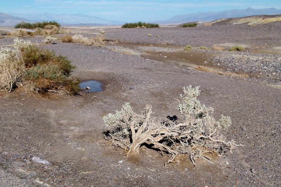 california death valley after rain