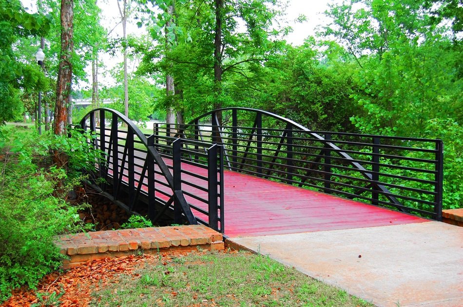 modern bridge in the park