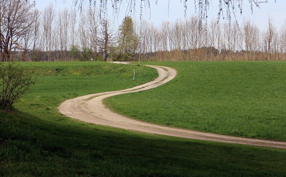 trail on the green meadow