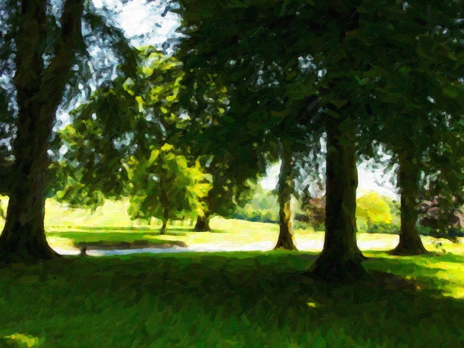 green forest in Parklands