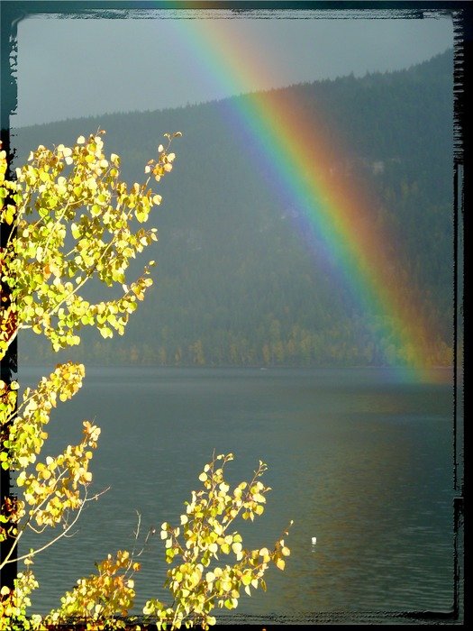 rainbow after the storm