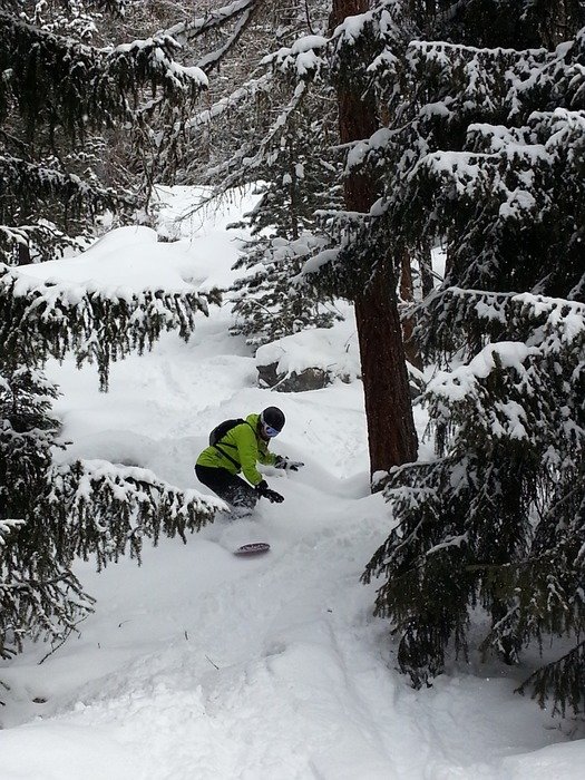 Snowboarder in the woods in the Monte Rosa