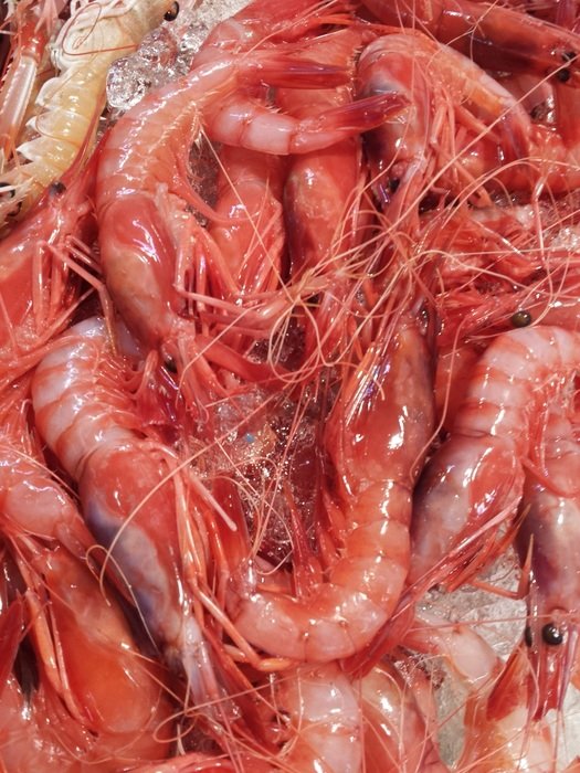 prawns on the municipal market Denia